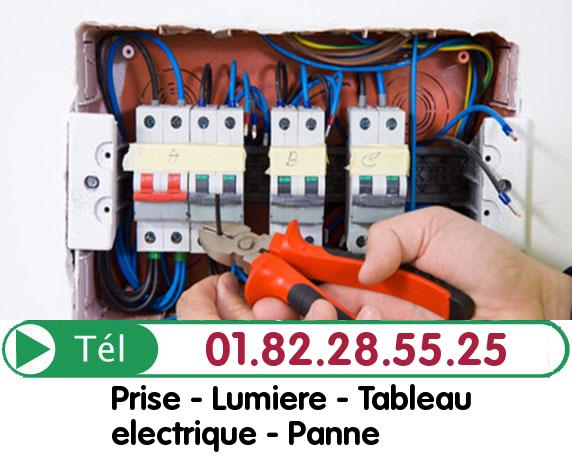 Changement Tableau Electrique Le Mesnil Saint Denis - Changement Disjoncteur Le Mesnil Saint Denis 78320