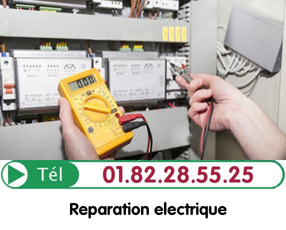 Depannage Electricite Freneuse 78840
